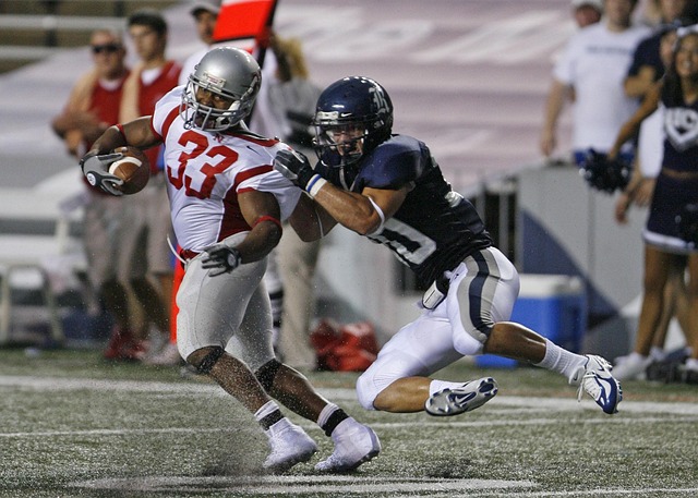 起关键作用 起关键作用