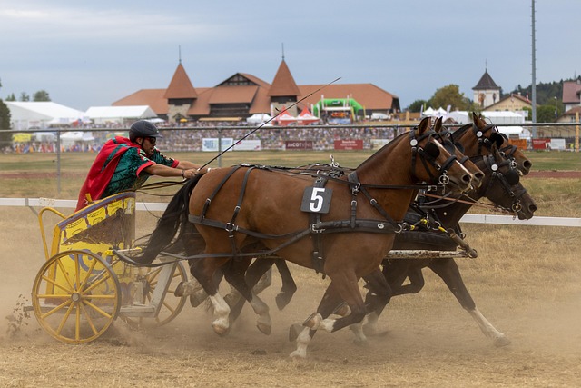 度觉得球队 度觉得球队
