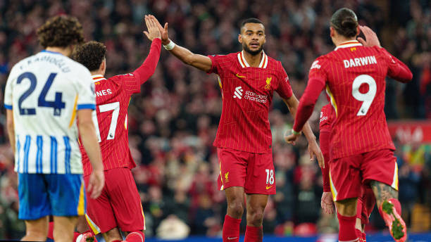 练了自己的 练了自己的